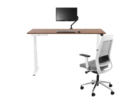 Elektrisch Zit-sta bureau