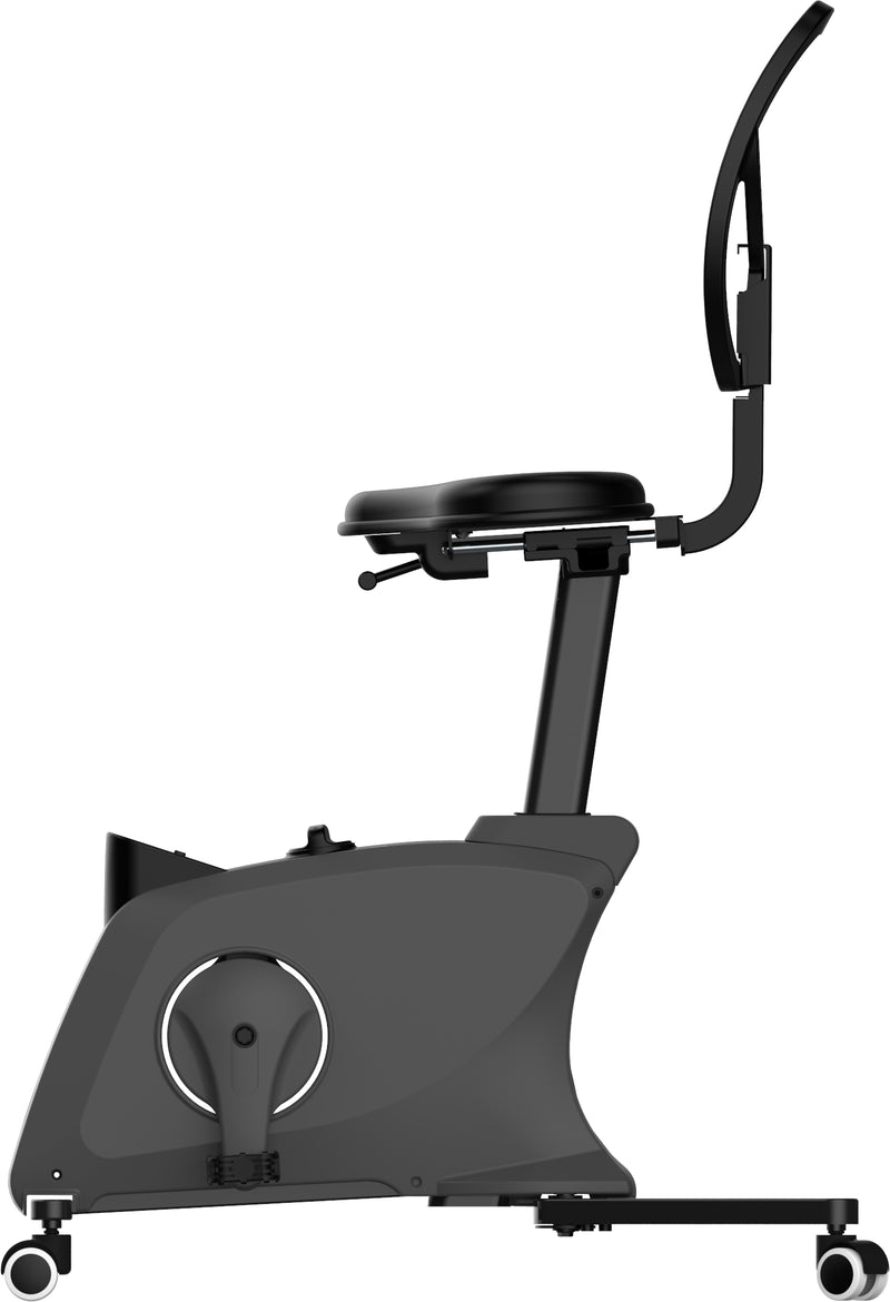 Bureaufiets Ross