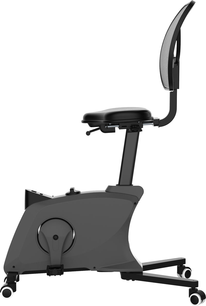 Bureaufiets Ross