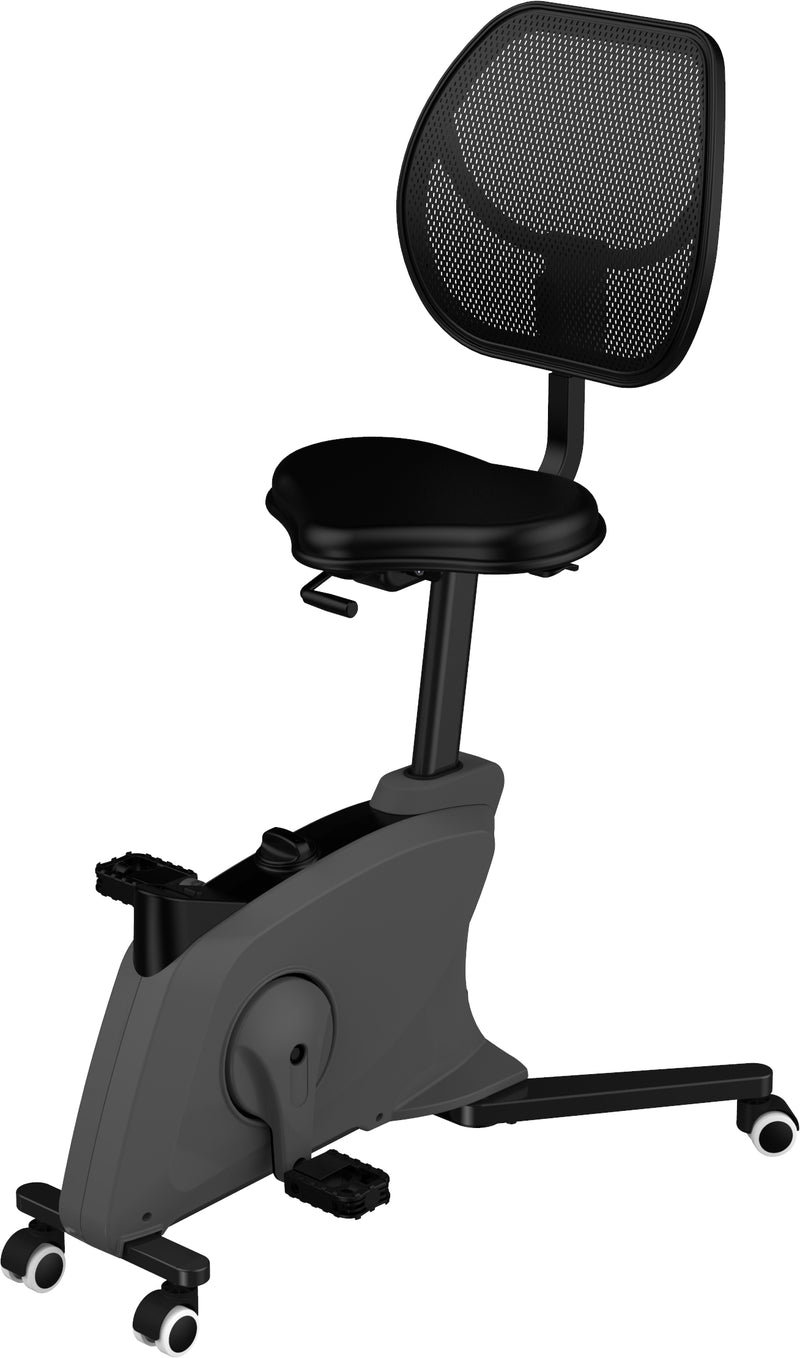 Bureaufiets Ross